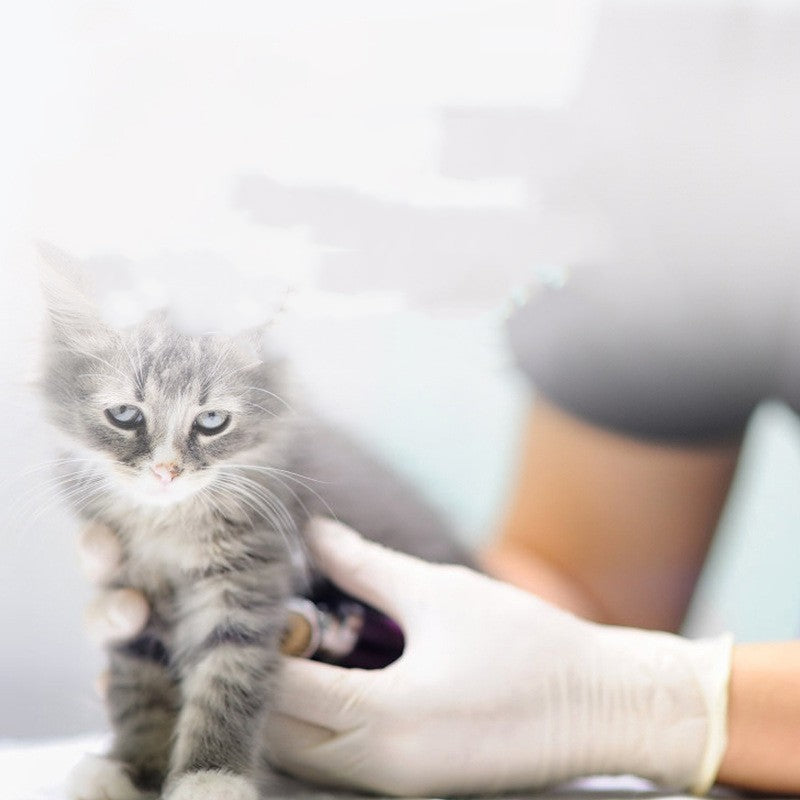 Thickened Disposable Latex Gloves