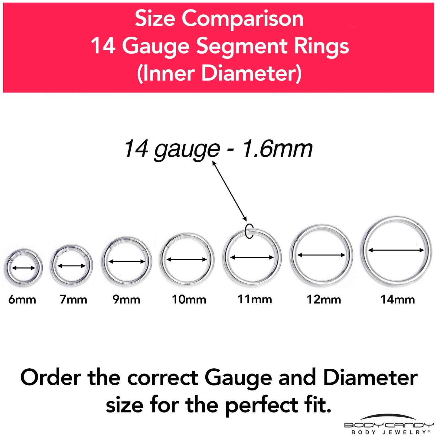 14G 1/4 316L Surgical Steel Precision Hinged Segment Hoop