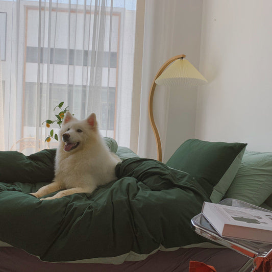 Fashionable Simple Hit Pigment Color Bed Sheet