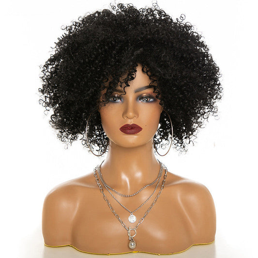 Afro Kinky Curly Wig Natural Look