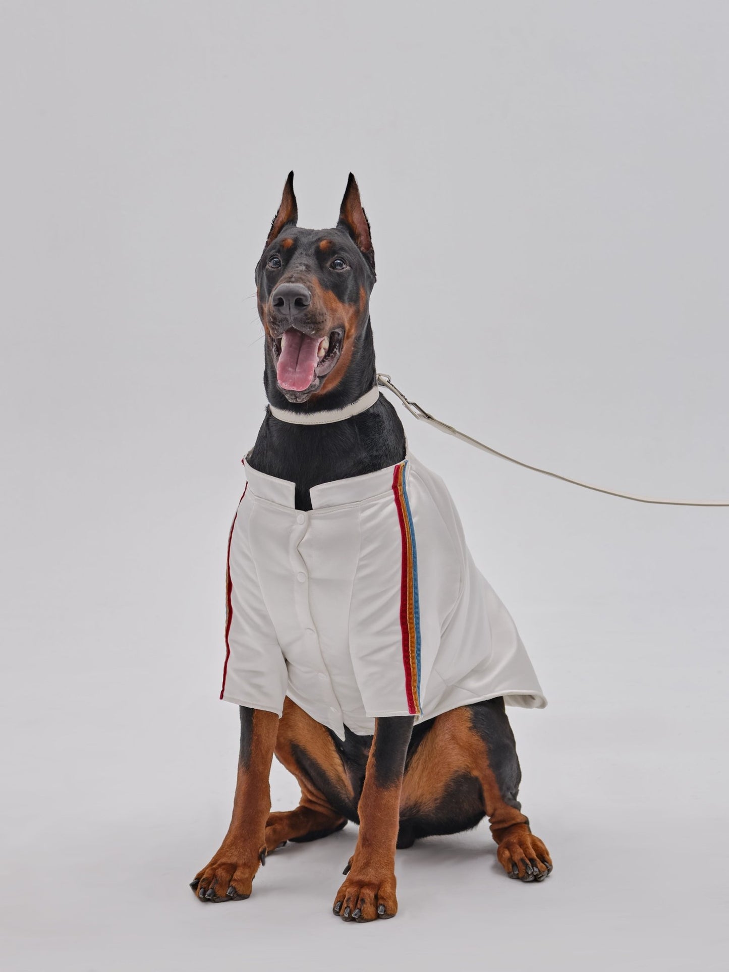 PET VELVET STRIPED JACKET