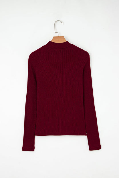 Solid Metallic Ribbed Knit Long Sleeve Top