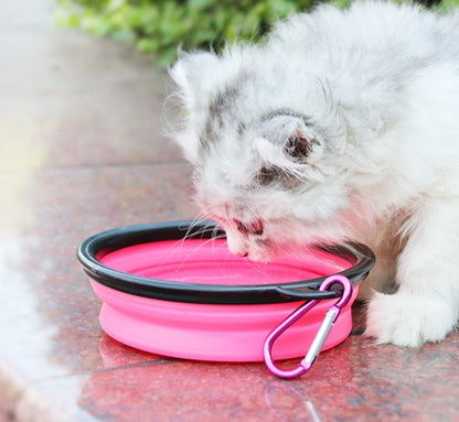 2-in-1 Pet Water Bottle Dispenser with Silicone Bowl