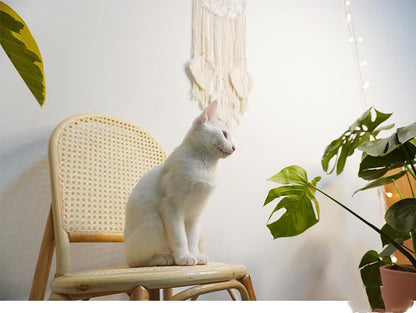 Hand-Woven Cotton Tapestry, Wall Hanging Decor