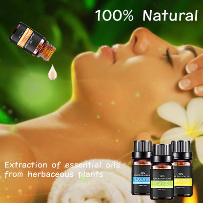 Top-Sale Organic Essential Oils Gift Set