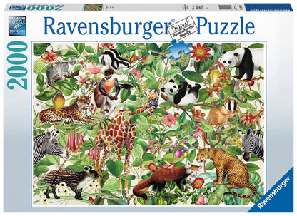 Puzzle: Jungle