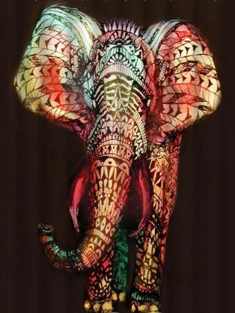 Graffiti Hip Hop African Girl Shower Curtain