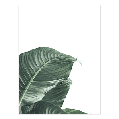 Nordic Style Tropical Plants Poster Green Leaves Canvas Print
