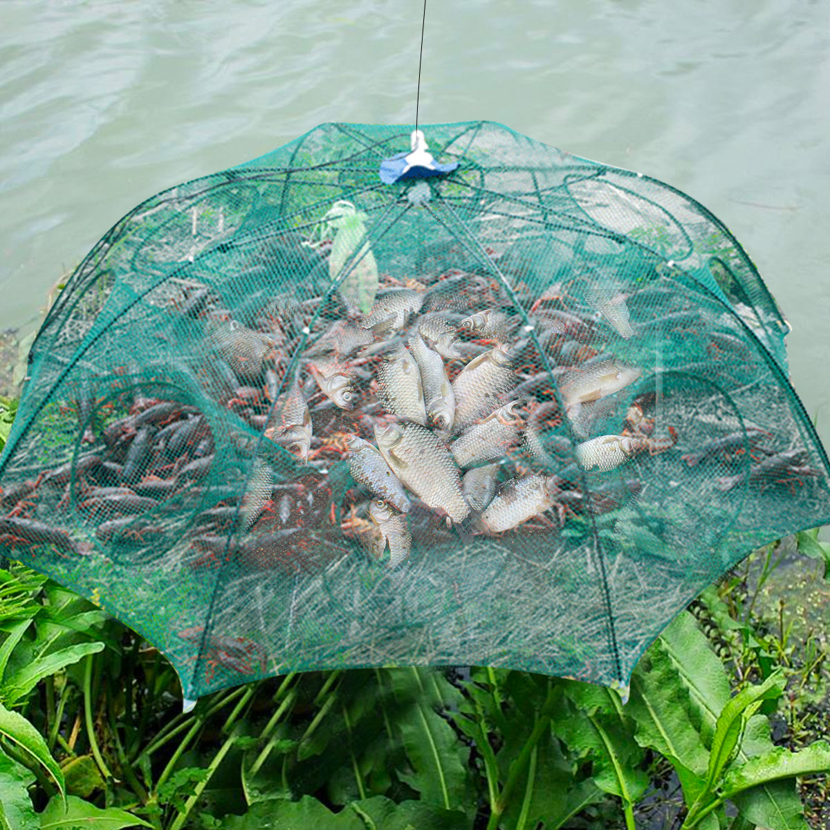 Foldable Automatic Fishing Net - Shrimp & Crab Trap