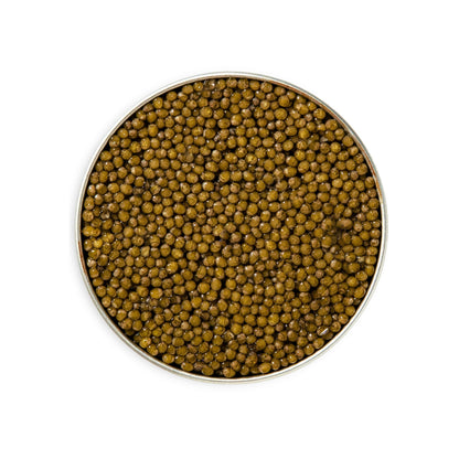 Kaluga Reserve 1 kg (35.3 oz.)