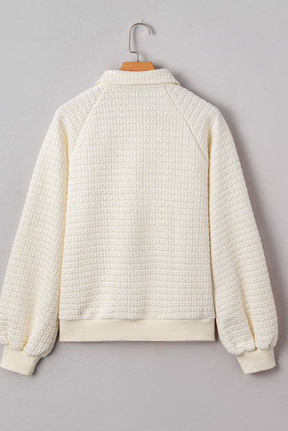 Pineapple Textured Half-Button Collared Sweatshirt