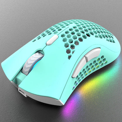 Wireless RGB Gaming Mouse with Electric Charging