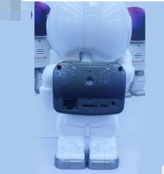 Astronaut Robot IP Camera: WiFi Security Surveillance