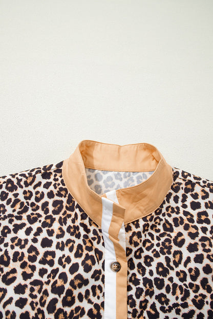 Button Stripe Collar Leopard Flared Dress