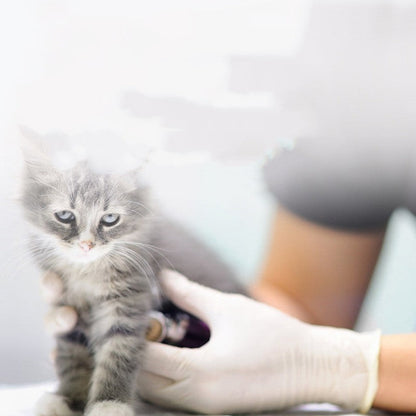 Thickened Disposable Latex Gloves