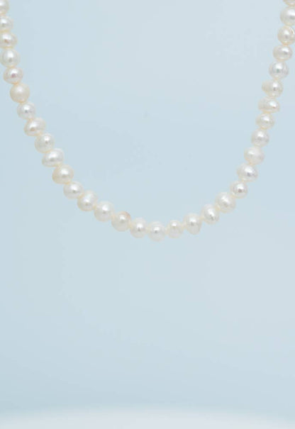 Cultured Pearl Necklace