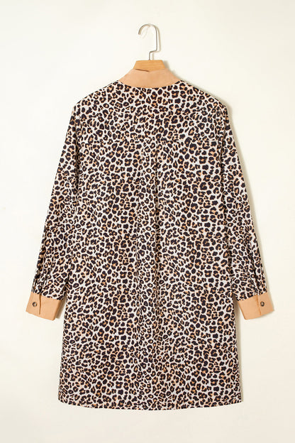 Button Stripe Collar Leopard Flared Dress