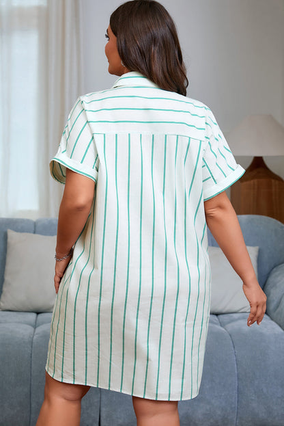 Plus Size Stripe St. Patrick's Day Button-Front Dress