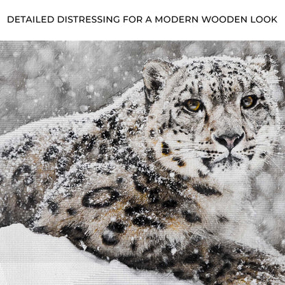 Snow Leopard In Blizzard Canvas Wall Art
