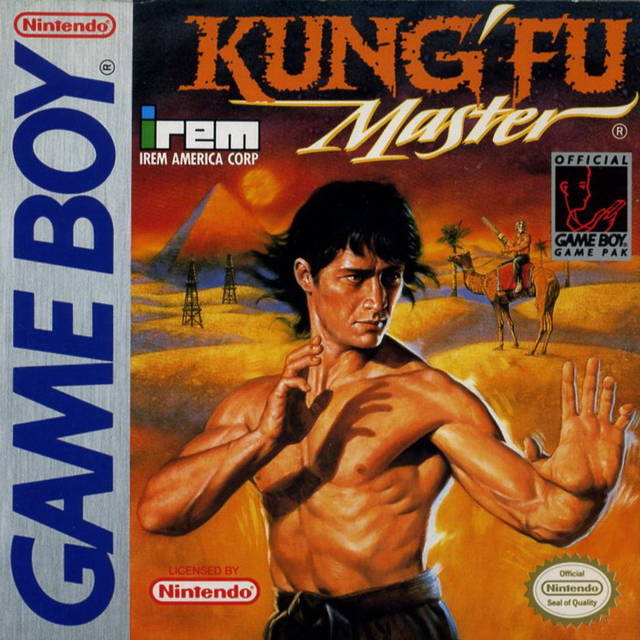 Kung Fu Master (Gameboy)