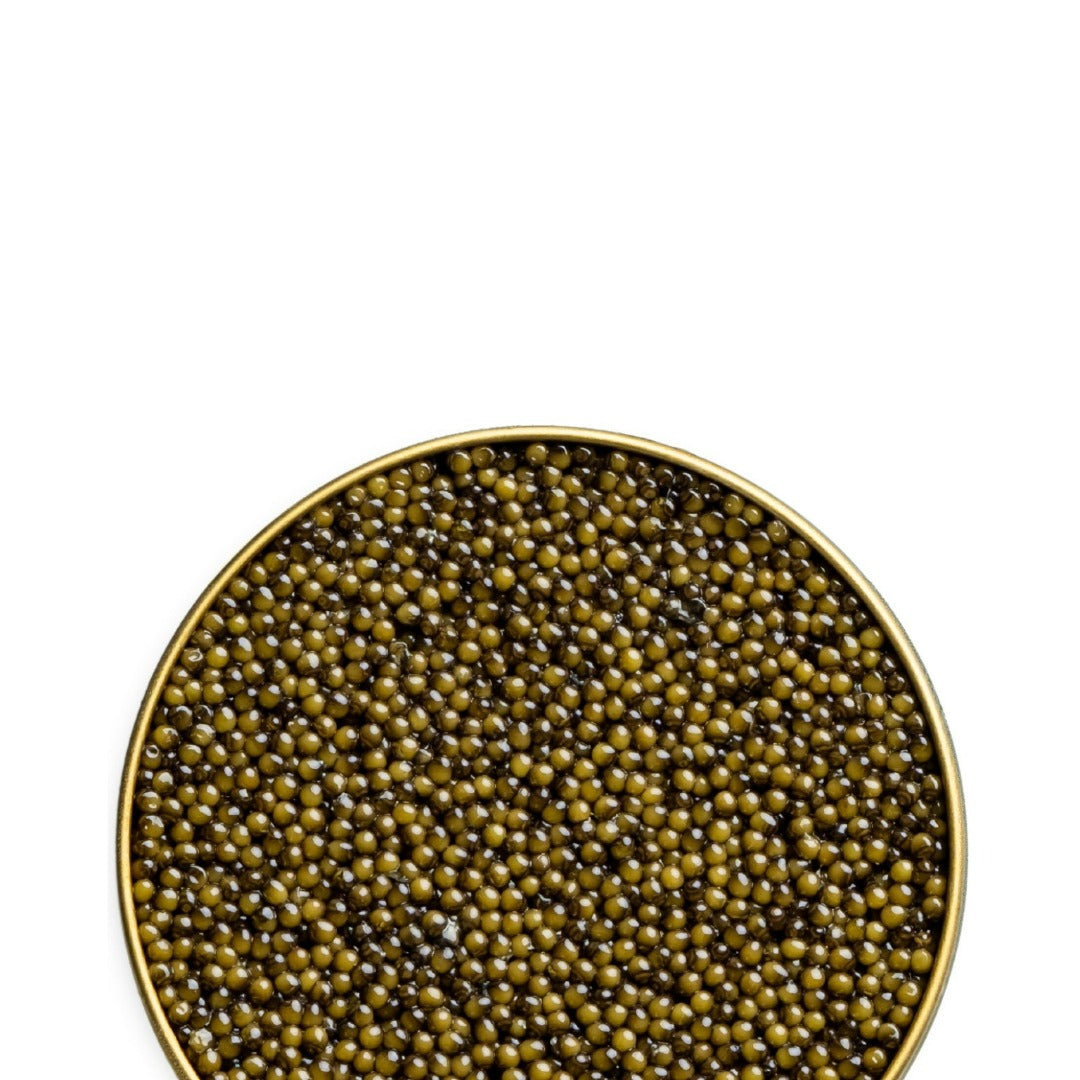 Osetra Reserve 125 g (4.4 oz)