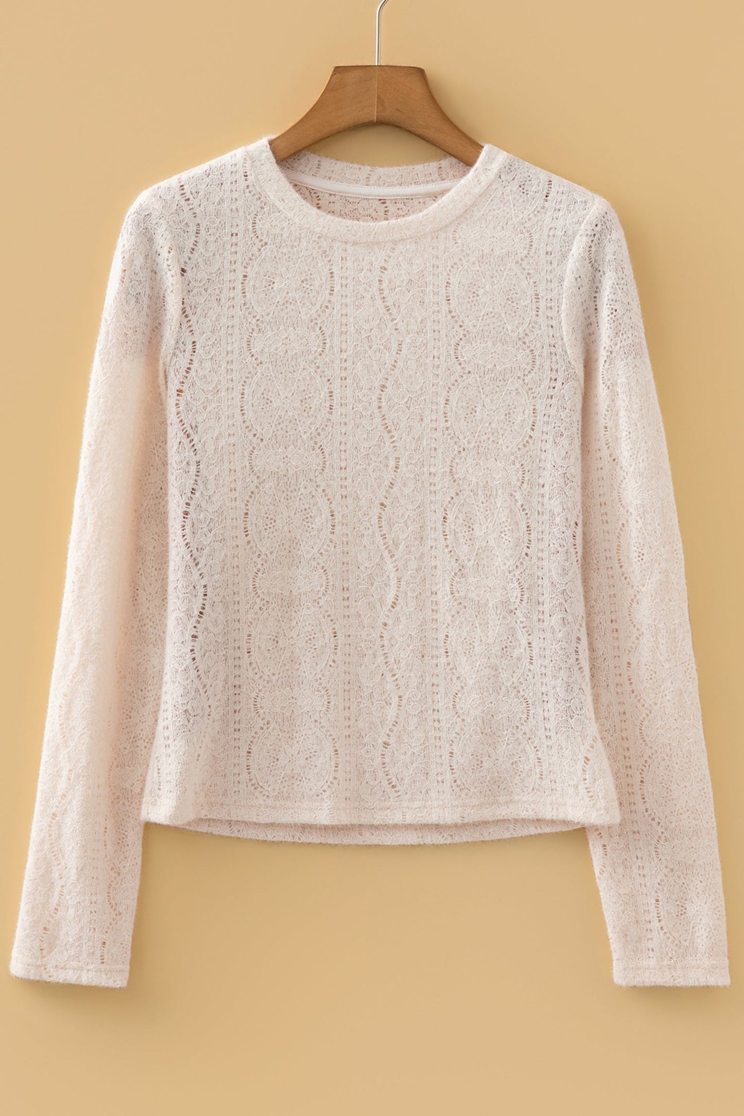 Semi Sheer Lace Long Sleeve Cropped Top