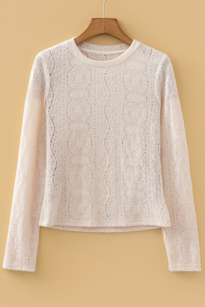 Semi Sheer Lace Long Sleeve Cropped Top