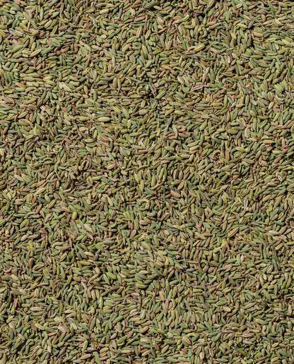 Hariyali Fennel