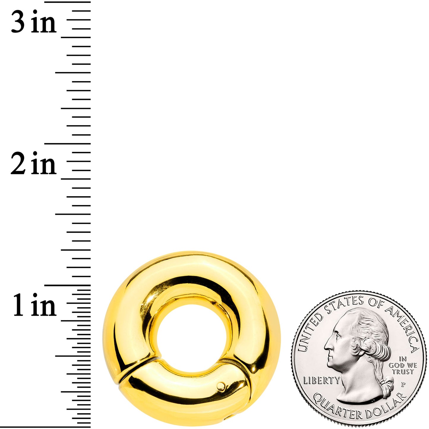 00G 1/2 Gold Tone PVD Steel Hinged Segment Ring