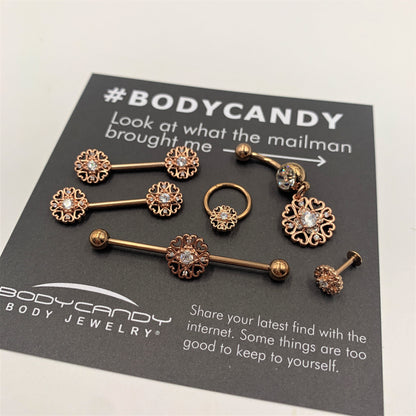 16G 3/8 Clear CZ Gem Rose Gold Tone Hearts Hinged Segment Ring