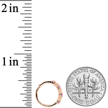 16G 3/8 Clear Pink CZ Gem Rose Gold Tone Hearts Hinged Segment Ring