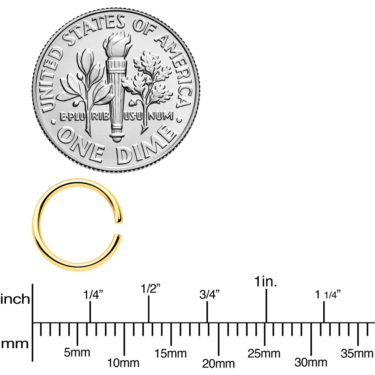 18G 5/16 Gold Tone Anodized Seamless Circular Ring Set of 12