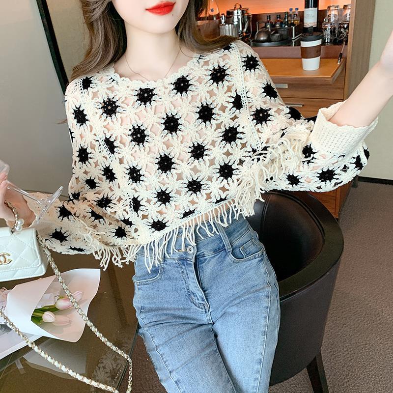 Geometric Pattern Long Sleeve Lace Pullover