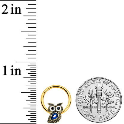 16G 3/8 Blue Gem Gold Tone Wide Eyed Owl Hinged Segment Ring