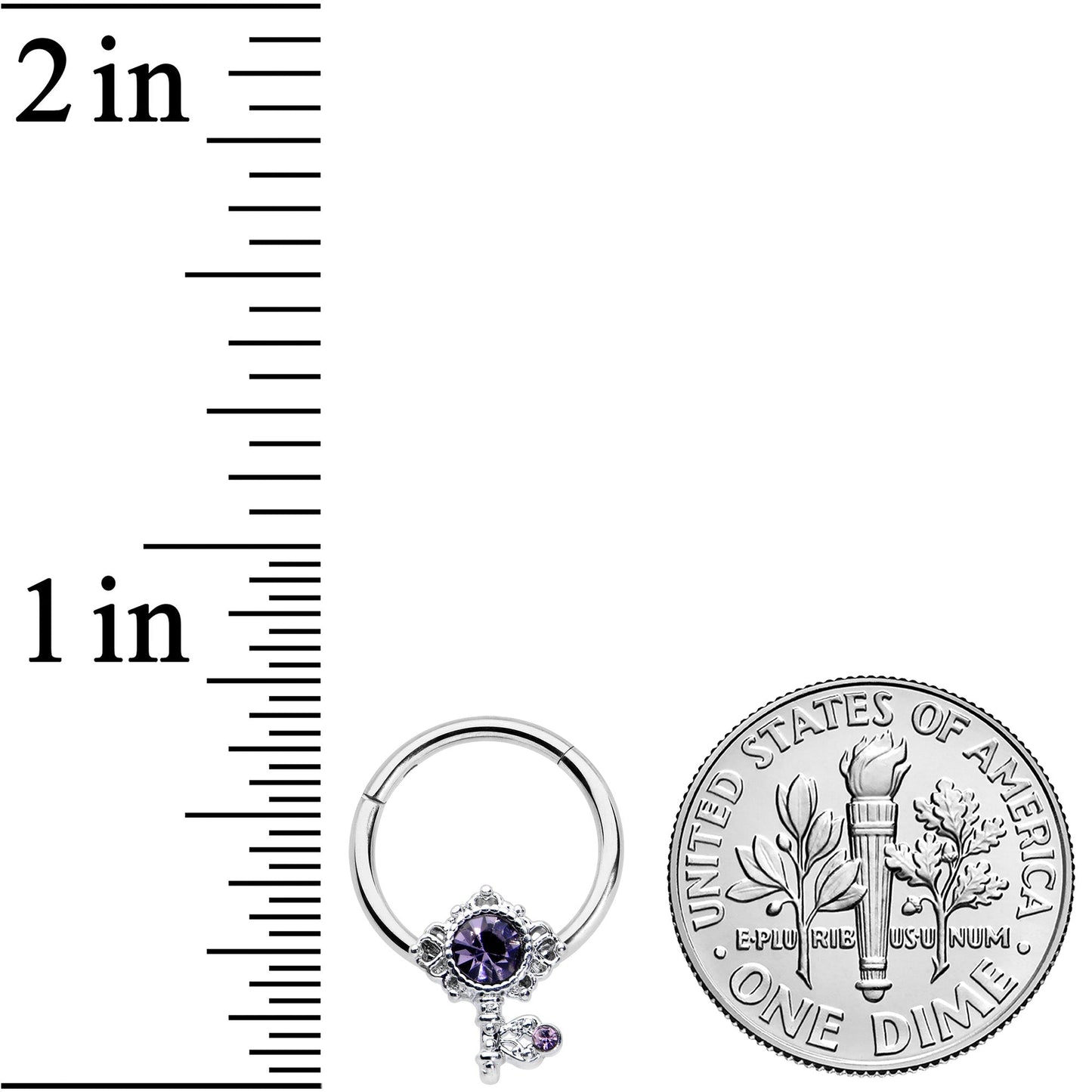 16G 3/8 Purple Gem Unlock My Heart Key Hinged Segment Ring