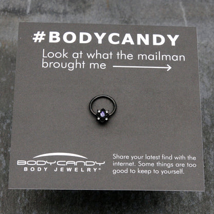 16G 3/8 Purple Gem Black Scrolling Hearts Hinged Segment Ring