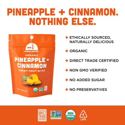 Organic Pineapple + Cinnamon Fruit Bites
