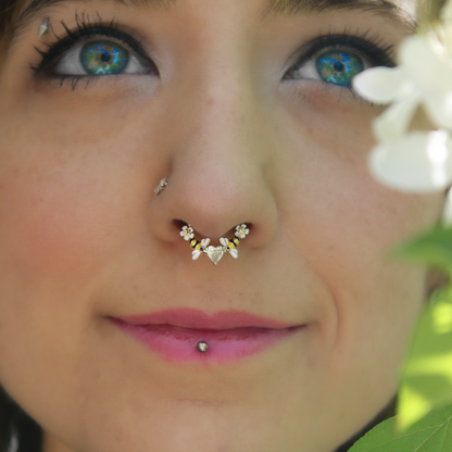 16G 3/8 Clear CZ Gem Bee Heart Flower Love Hinged Segment Ring