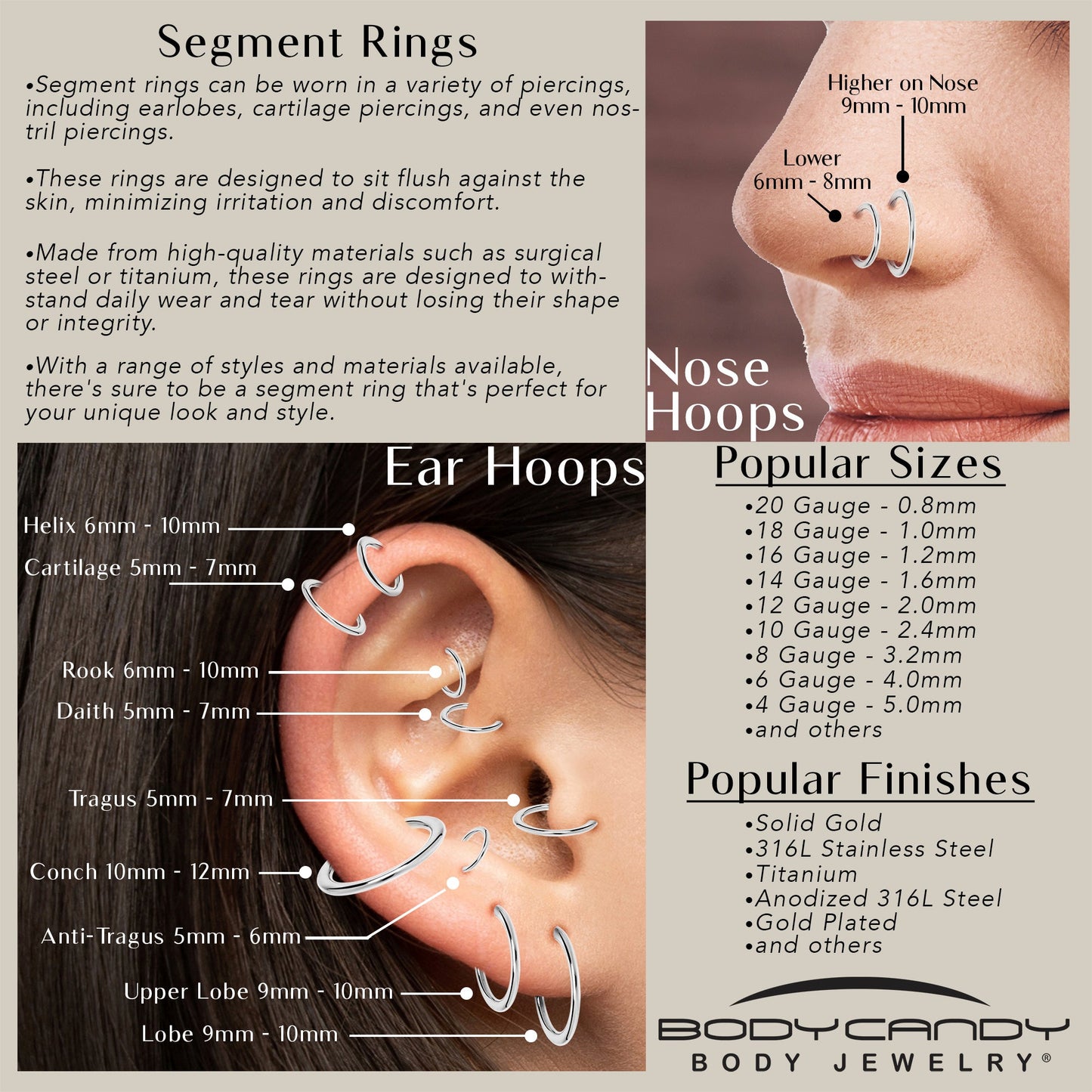 14G 9/16 316L Surgical Steel Precision Hinged Segment Hoop