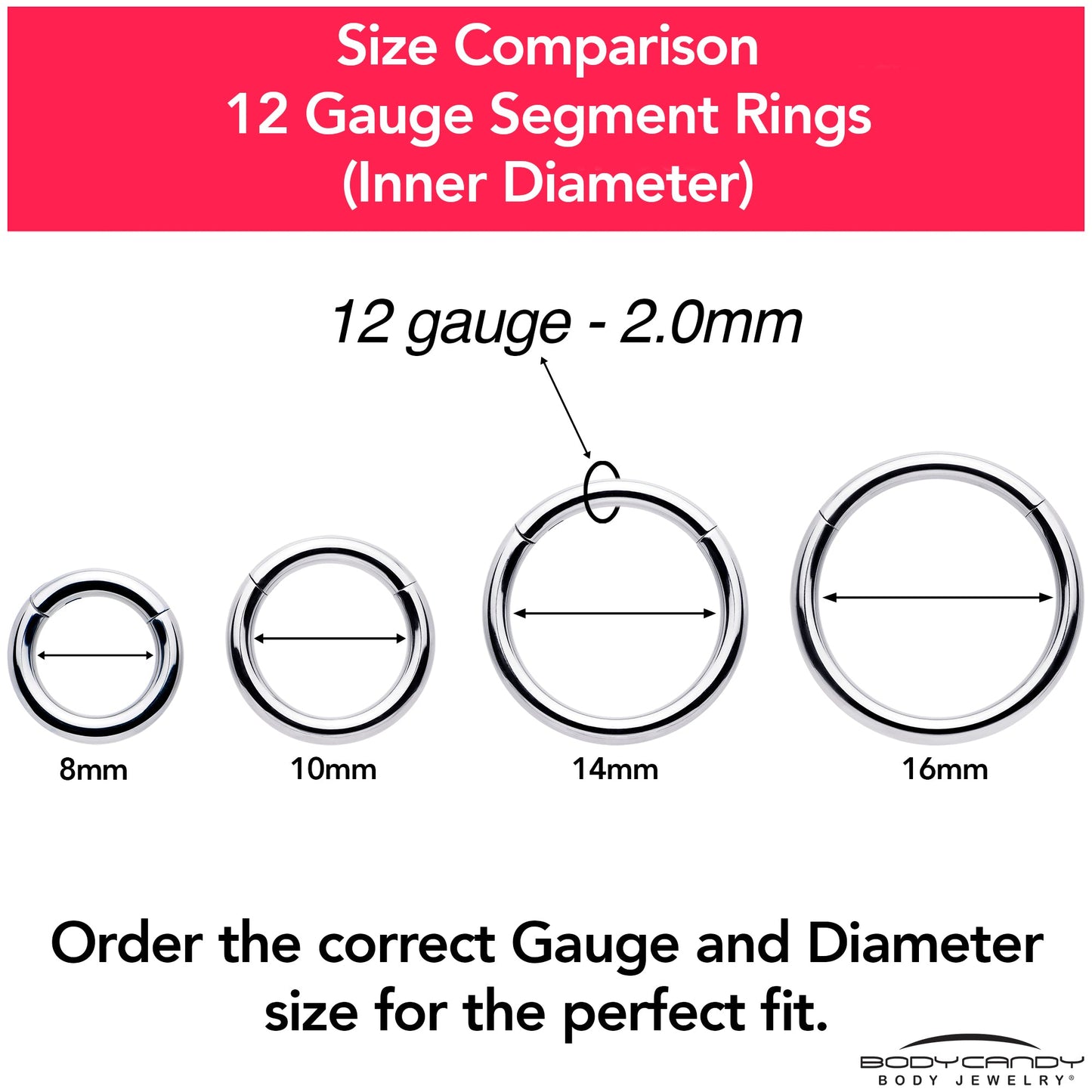 12G 3/8 316L Surgical Steel Precision Hinged Segment Hoop