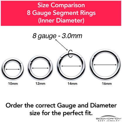 8G 3/8 316L Surgical Steel Precision Hinged Segment Hoop