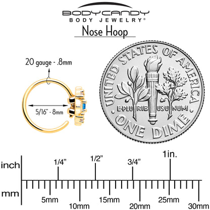 20G 5/16 Blue CZ Gem Gold Tone Flower Ring Nose Hoop