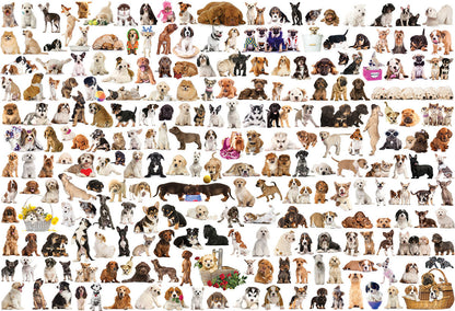Puzzle: The BIG Puzzle Collection - The World of Dogs