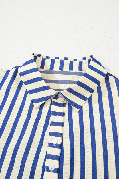 Stripe Buttoned Collar Side Pockets Mini Dress
