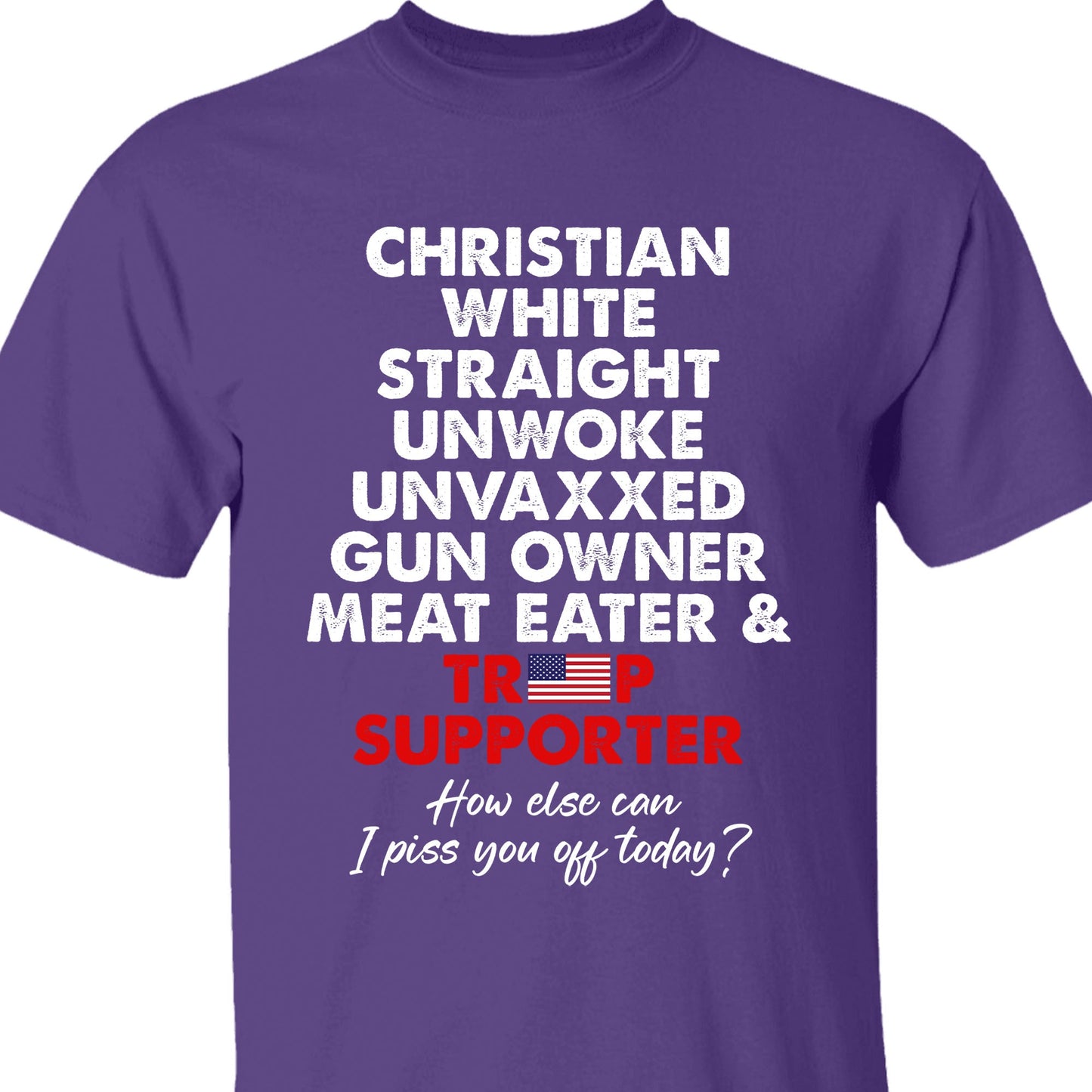 Trump Supporter Shirt | Donald Trump Homage Shirt | Donald Trump Fan Tees C916 - GOP