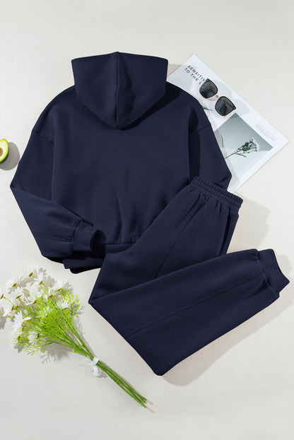 Solid Reverse Seams Hoodie and Joggers Set