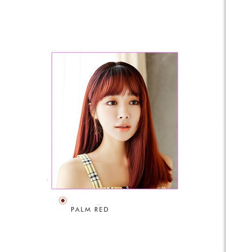 Fashion Realistic Long Straight Hair Wig