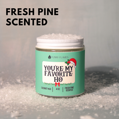 You're My Favorite Ho 4OZ