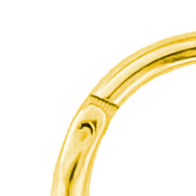 Lace Inlaid Zircon Nose Ring