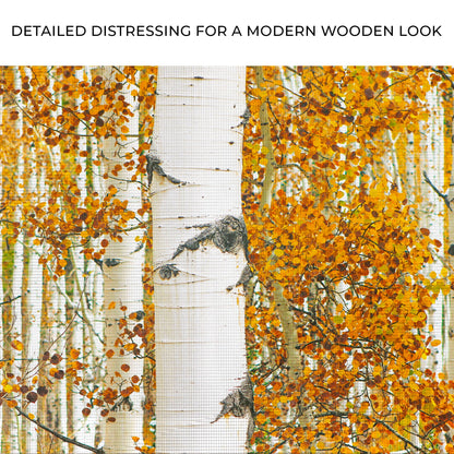 Autumn Tree Barks Canvas Wall Art